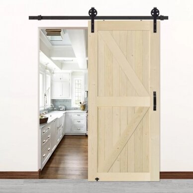 BARN DOOR 76.008 ELEGANT 1